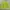 Y2K Sweatshirt Pria Green Black