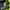 Y2K Sweatshirt Pria green black photo 7