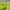 Y2K Sweatshirt Pria green black photo 6