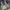 Nike acg mountain fly photo 4