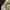 Sweatshirt Crewneck Basic Z4ra Cream  photo 2