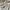 Sweatshirt Crewneck Basic Z4ra Cream  photo 5