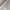 Sweatshirt Crewneck Basic Z4ra Cream  photo 4