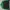 Adidas Casual Casual shirt Pria green black photo 1