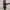 Gucci Luxury Pria brown black photo 4
