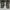 BLACKSTONE JL19 Hi Top Zipper Leather  photo 9