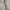 Alexander McQueen Luxury Pria gray cream photo 4
