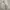 Alexander McQueen Luxury Pria gray cream photo 2