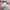 Y2K Minimalist Crop top Wanita pink photo 2