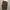 Dickies Streetwear Skater Formal pants Pria brown photo 1
