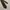 Givenchy Luxury Pria brown photo 3