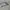 Oakley sunglasses photo 3