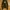 Hollister Co. Women's Brown Fitted Hoodie Double Zipper Y2K  photo 1