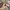 Novo Eyeshadow Stick Ombre Two Tone Original photo 7
