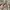 Novo Eyeshadow Stick Ombre Two Tone Original photo 3