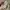 Novo Eyeshadow Stick Ombre Two Tone Original photo 2