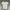 Fred Perry Streetwear Casual Polo shirt Pria white photo 1