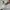 Fred Perry Streetwear Casual Polo shirt Pria white photo 6
