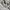Fred Perry Streetwear Casual Polo shirt Pria white photo 3