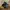 Timberland Chelsea Boots Earthkeepers City 
