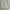 Cargo parachute pants / celana cargo / pc85 photo 1