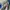 Vintage Kushitani Hamamatsu Blue Racing Leather Jacket  photo 3