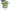 Odd Future Streetwear Y2K T-shirt Pria green photo 7
