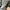 DIOR B27 LOW TOP SNEAKER OBLIQUE GALAXY WHITE LIGHT GREY , S photo 6