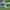 Adidas handball Spezial  photo 1