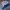 [SET COCOKLOGY] ABSORBA DAN BLUEDOG photo 1
