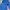 [SET COCOKLOGY] ABSORBA DAN BLUEDOG photo 6