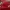 Dickies Vintage Short Kids red photo 3