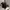 Bruno Magli Black Boat Tote – Elegant Everyday Leather Bag photo 3