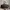 Bruno Magli Black Boat Tote – Elegant Everyday Leather Bag photo 1
