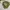 Outer ripstop camoflase Jacket military Bershka super cakep  photo 7