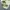 Unknown baggy chino pants khaki photo 5