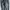 Levis Strauss co. Pants Straight Fit photo 2