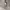 H&M Streetwear Casual Hoody Wanita gray photo 4