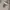 H&M Streetwear Casual Hoody Wanita gray photo 5