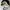 00s Oakley Moscow Trappet Hat