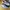 New Balance Fresh Foam X 880 V12 Running Shoes Original photo 1