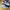 New Balance Fresh Foam X 880 V12 Running Shoes Original