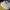 New Balance Fresh Foam X 880 V12 Running Shoes Original photo 2