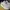New Balance Fresh Foam X 880 V12 Running Shoes Original