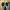 New Balance Fresh Foam X 880 V12 Running Shoes Original photo 5