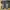 New Balance Fresh Foam X 880 V12 Running Shoes Original photo 7