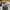 New Balance Fresh Foam X 880 V12 Running Shoes Original photo 6