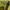 Burberry Luxury Sportswear T-shirt Wanita yellow photo 6