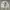 Y2k Grunge Emo Longsleeve Thermal Lion Big Icon Printed photo 1