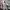 Vans Oldskool Checkerboard 36 DX Anaheim Factory photo 2